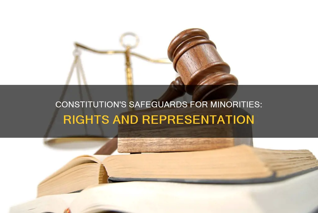 how are minorities protected in the constitution