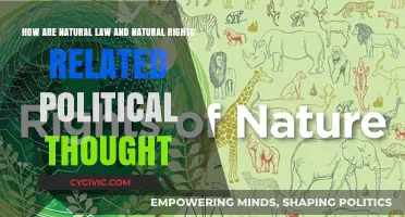 Exploring the Nexus of Natural Law and Natural Rights in Political Thought