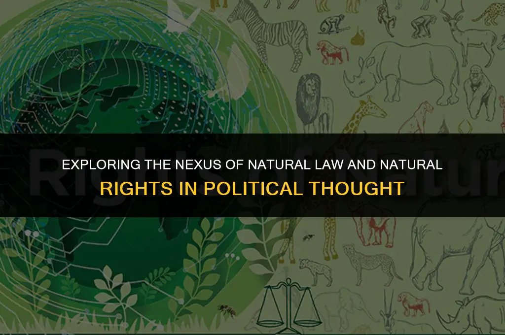 how are natural law and natural rights related political thought
