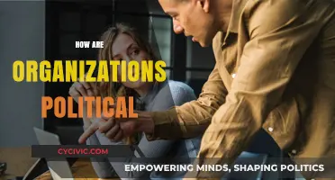 Power, Influence, and Politics: Understanding Organizational Dynamics and Structures