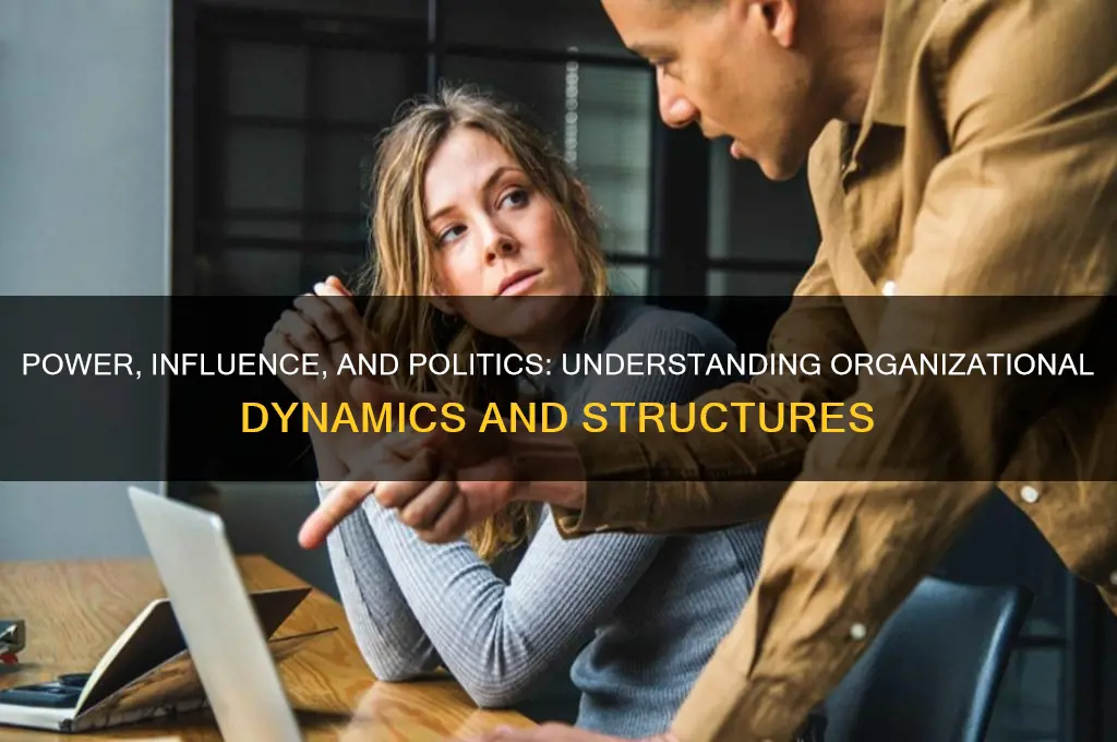 how are organizations political