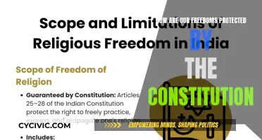 The Constitution: Our Freedoms' Guardian