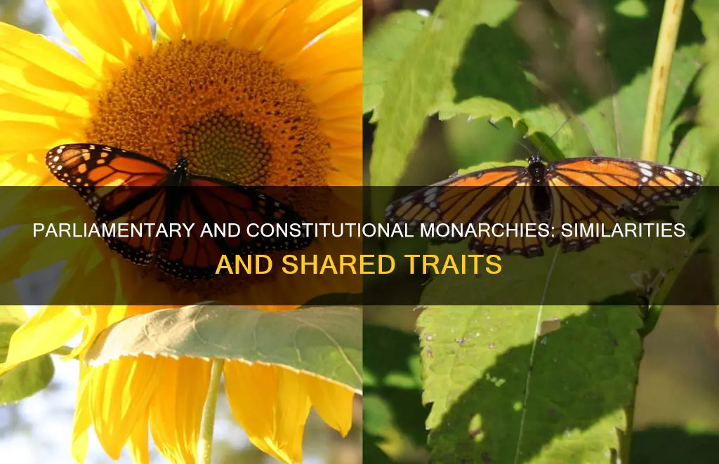 how are parliamentary monarchies and constitutional monarchies similar