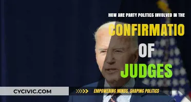 Party Politics and Judicial Confirmations: Power, Influence, and the Bench