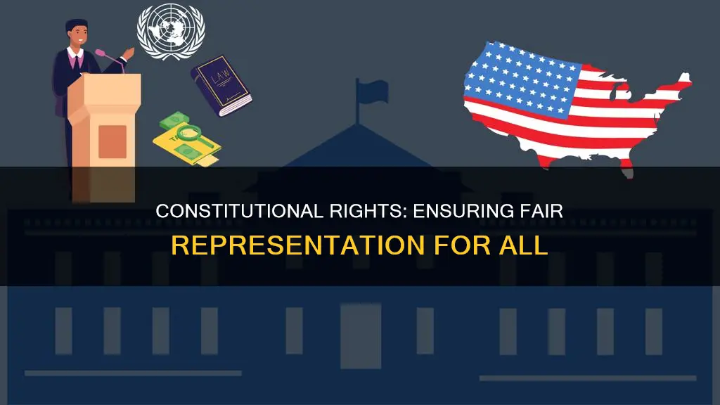 how are people accurately represented by the constitution