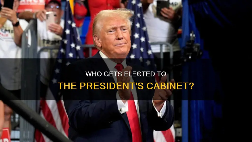 how are people elected in the predidents cabinet