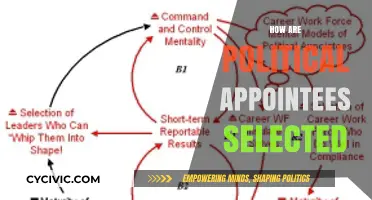 Understanding the Selection Process of Political Appointees in Government
