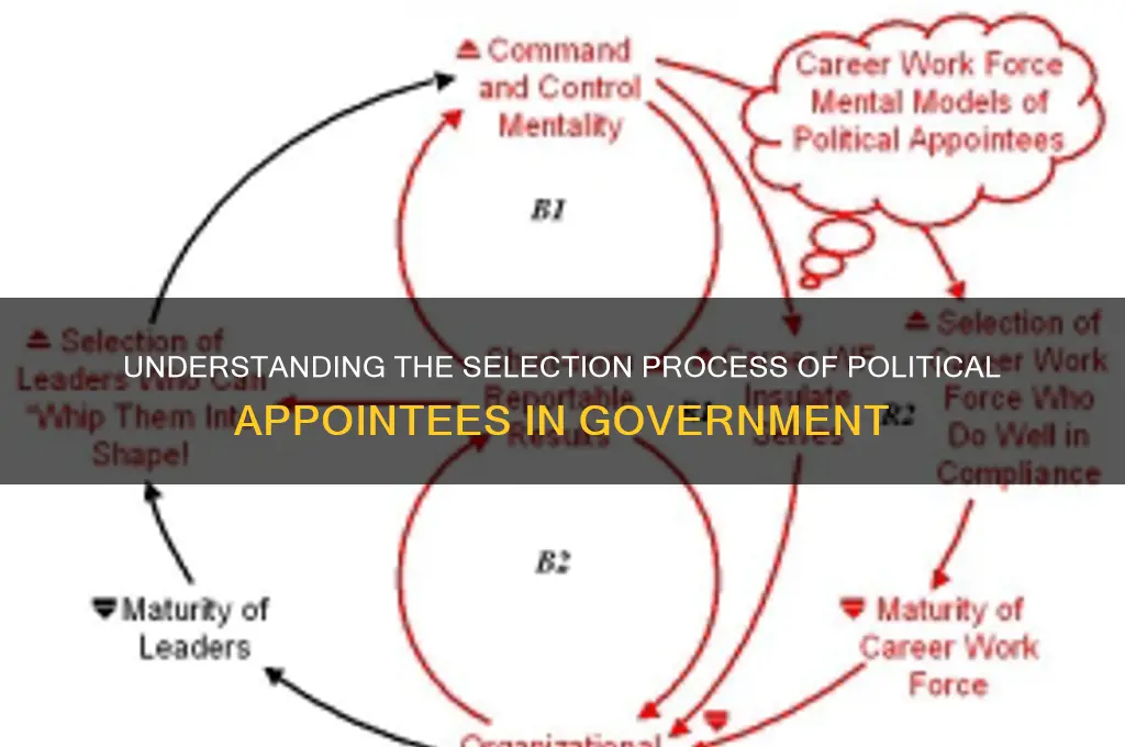 how are political appointees selected
