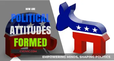 Understanding the Complex Roots of Political Attitudes and Beliefs