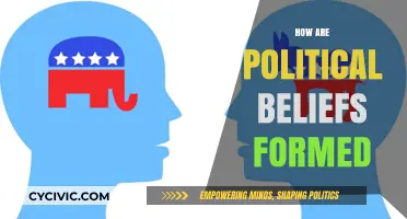 Shaping Political Beliefs: Influences, Experiences, and Identity Formation Explored