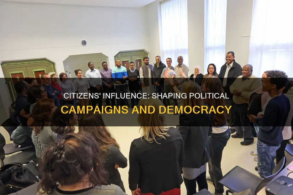 how are political campaigns affected by citizens
