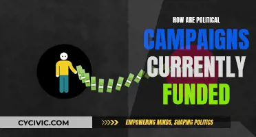 Funding Political Campaigns: Where Does the Money Come From?