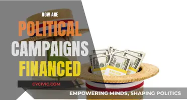 Political Campaign Financing: Where Does the Money Come From?