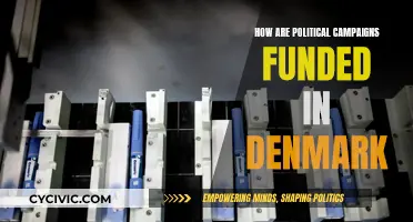 Political Campaign Funding in Denmark: Who Pays?