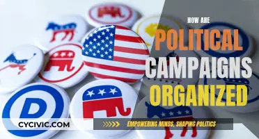Political Campaigns: Strategies, Structure, and Success
