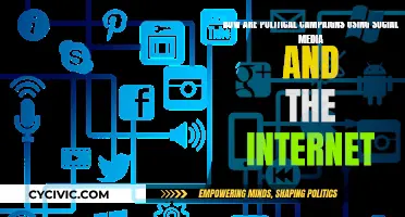 Campaign Strategies: Social Media & the Internet