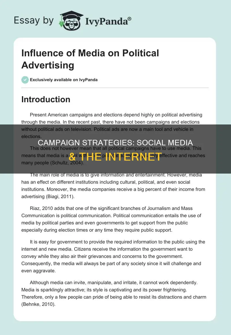 how are political campaigns using social media and the internet