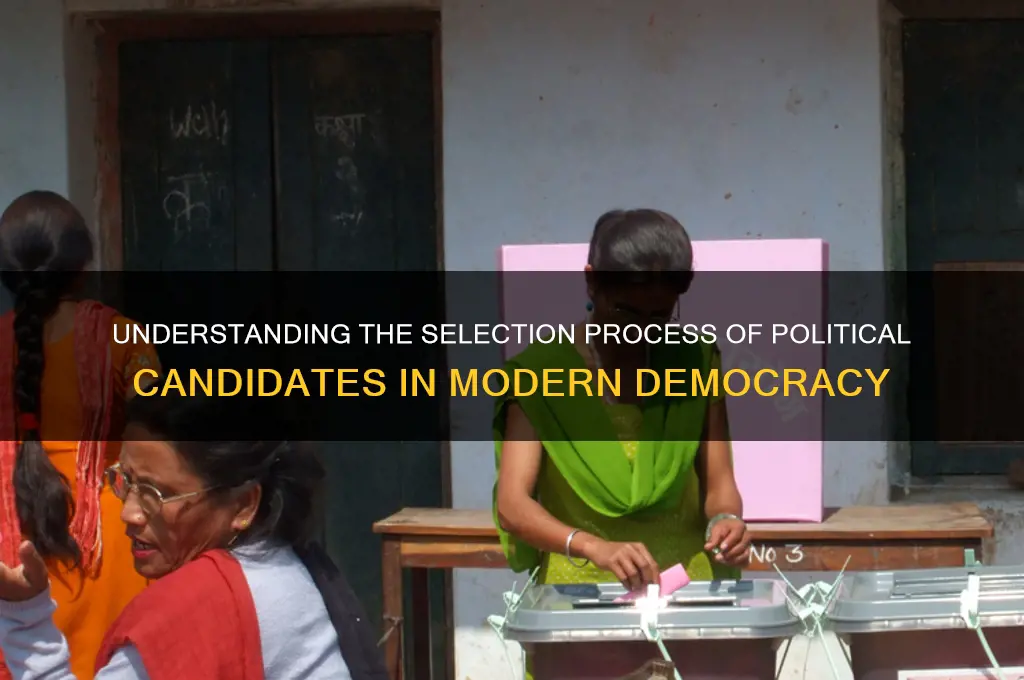 how are political candidates chosen