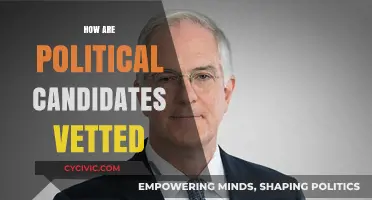 Vetting Political Candidates: Uncovering the Process Behind the Selection