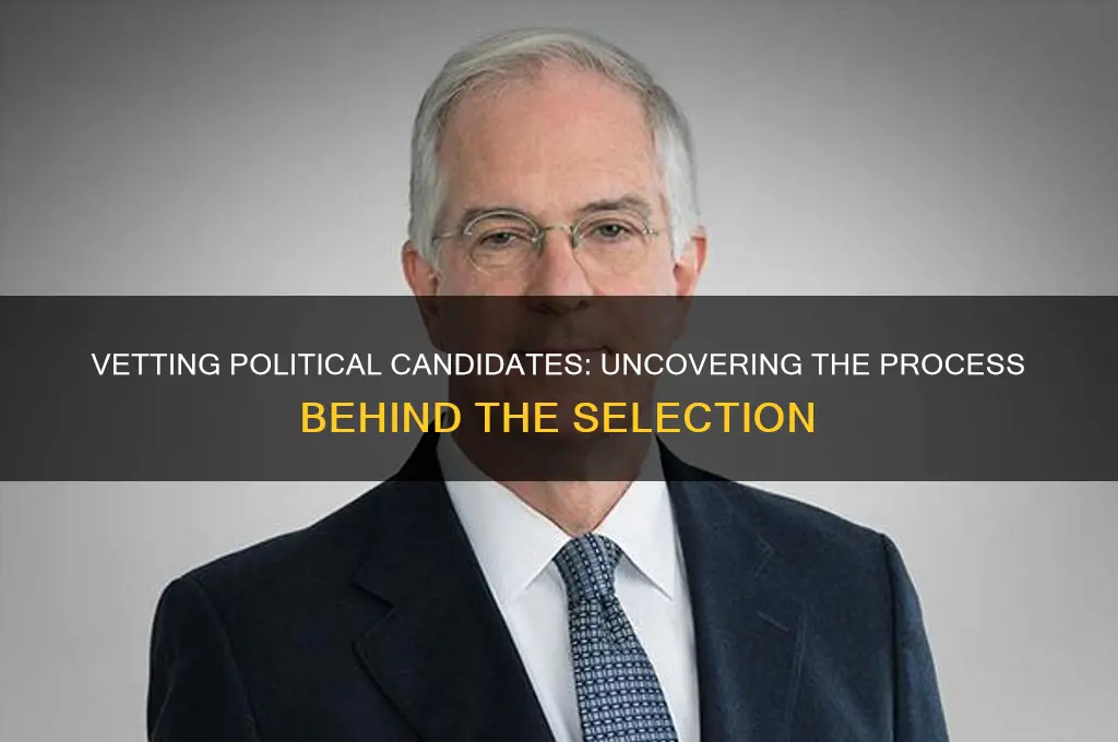 how are political candidates vetted