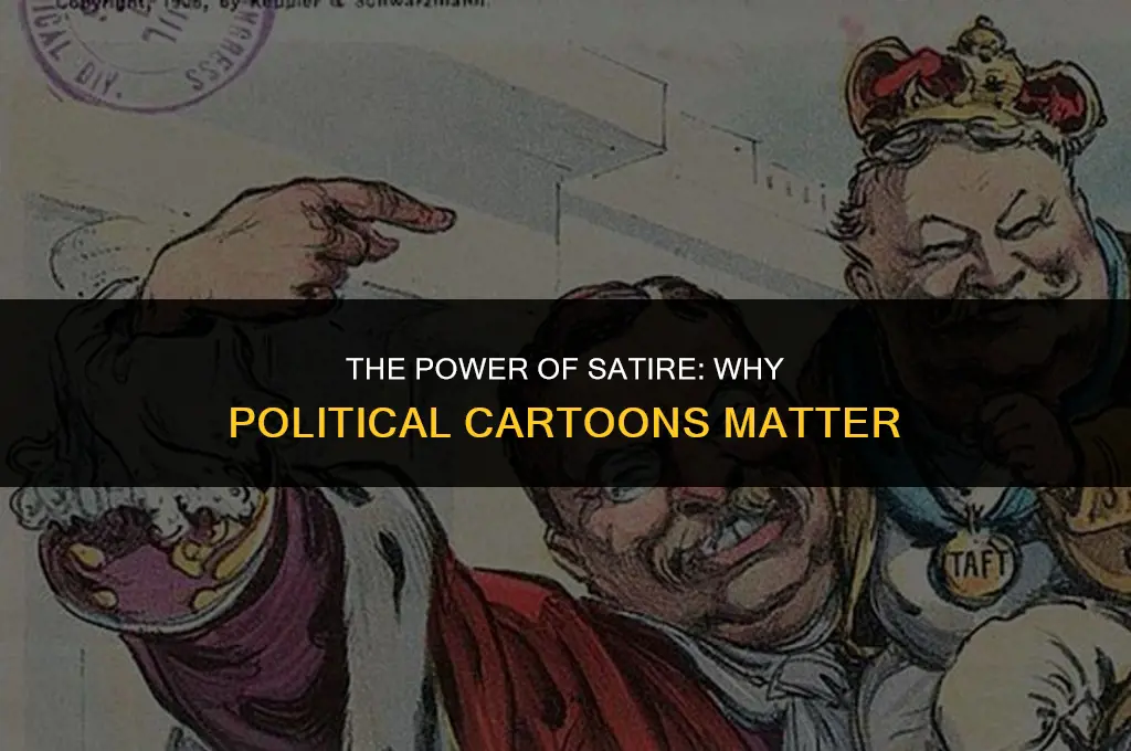 how are political cartoons important