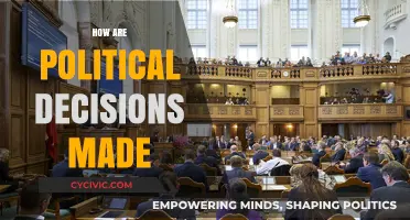 Understanding the Complex Process Behind Political Decision-Making