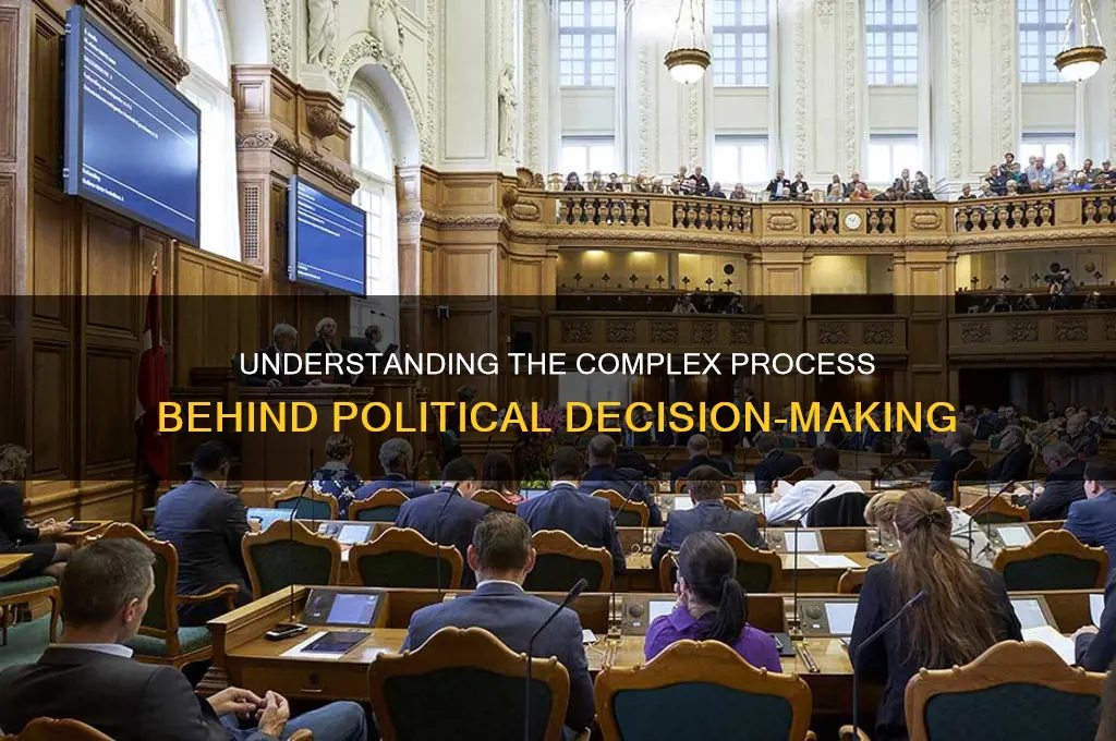 how are political decisions made