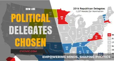 Understanding the Selection Process of Political Delegates in Modern Democracy