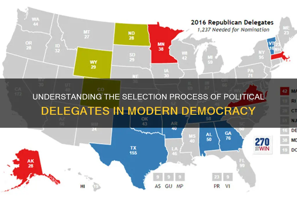 how are political delegates chosen