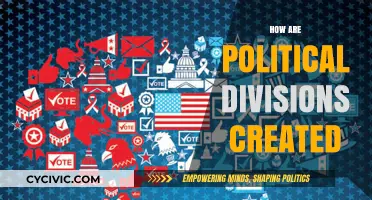 Understanding the Roots: How Political Divisions Shape Societies and Nations