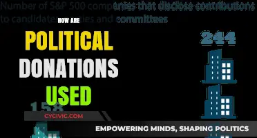 Unveiling the Impact: How Political Donations Shape Campaigns and Policies