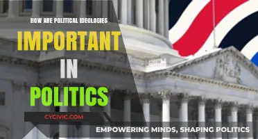 The Crucial Role of Political Ideologies in Shaping Politics