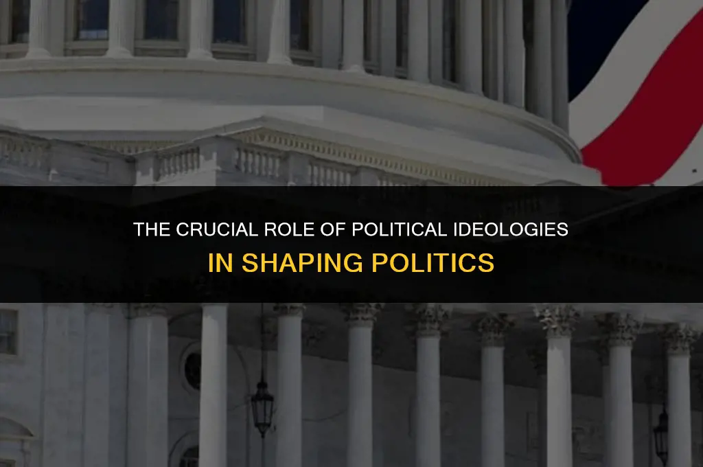 how are political ideologies important in politics