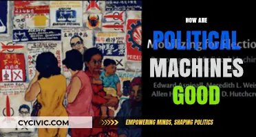Political Machines: Unseen Benefits in Local Governance and Community Development