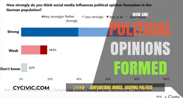 Shaping Political Beliefs: Influences and Factors Behind Opinion Formation