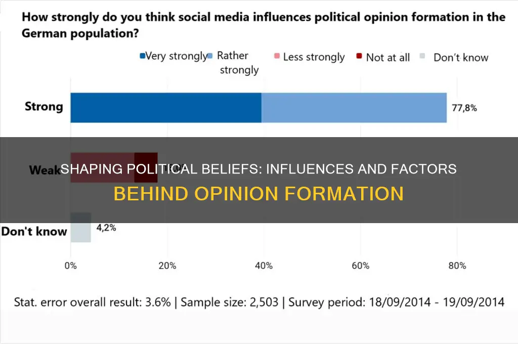 how are political opinions formed