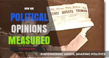 Measuring Political Opinions: Methods, Challenges, and Insights Explained
