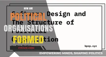 Understanding the Formation and Structure of Political Organizations