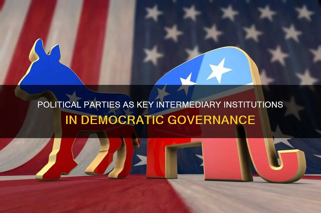 how are political parties an intermediary institution