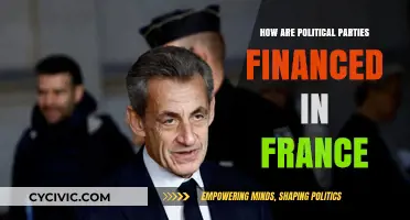 Understanding France's Political Party Funding: Sources, Regulations, and Transparency
