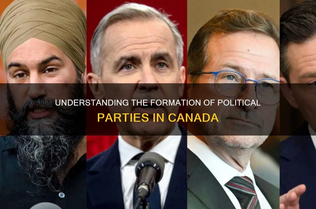 how are political parties formed in canada