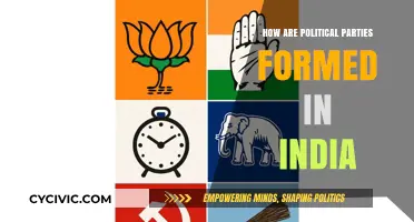 Understanding the Formation of Political Parties in India's Democracy