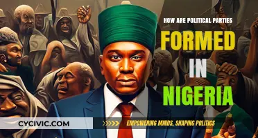 Understanding the Formation of Political Parties in Nigeria's Democracy