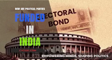 Unveiling India's Political Funding: Sources, Methods, and Transparency Challenges