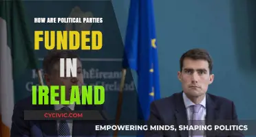 Unveiling Ireland's Political Funding: Sources and Transparency Explained