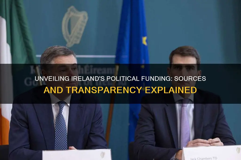 how are political parties funded in ireland