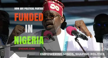 Unveiling Nigeria's Political Funding: Sources, Strategies, and Controversies Explained