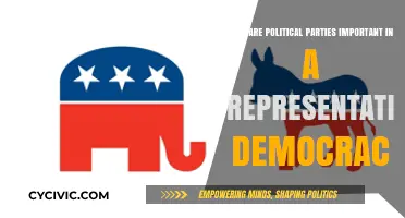 Political Parties: Essential Pillars of Representative Democracy Explained