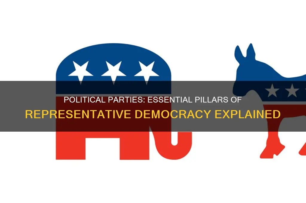 how are political parties important in a representative democracy