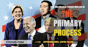 Political Parties' Role in Shaping Primary Elections and Candidate Selection